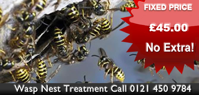 Wasp Control Wolverhampton wasps nest treatment, removal fixed price £45.00 no extras, same day, 24 hour, 7 days a week